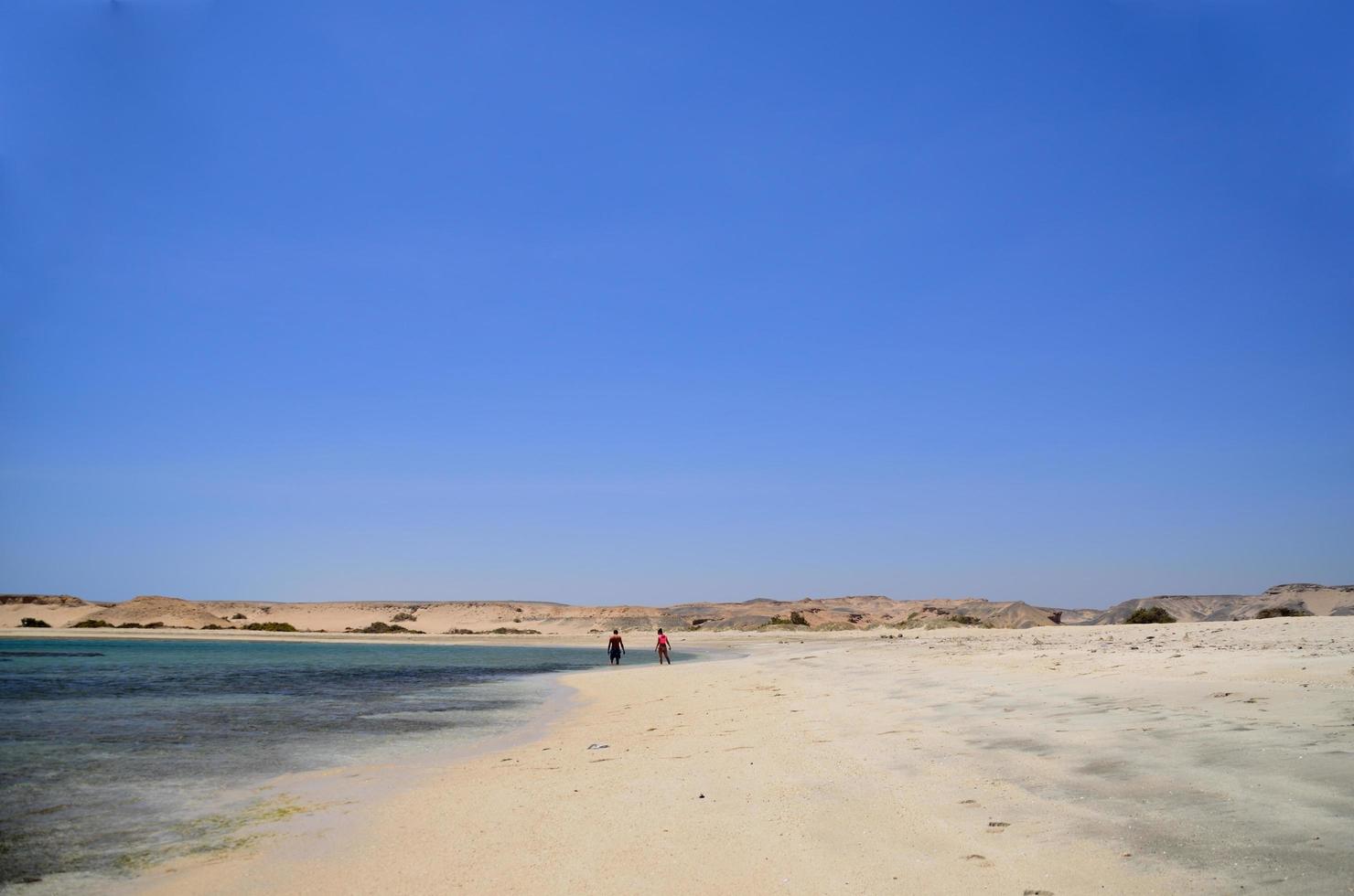 ensam på strand och hav foto