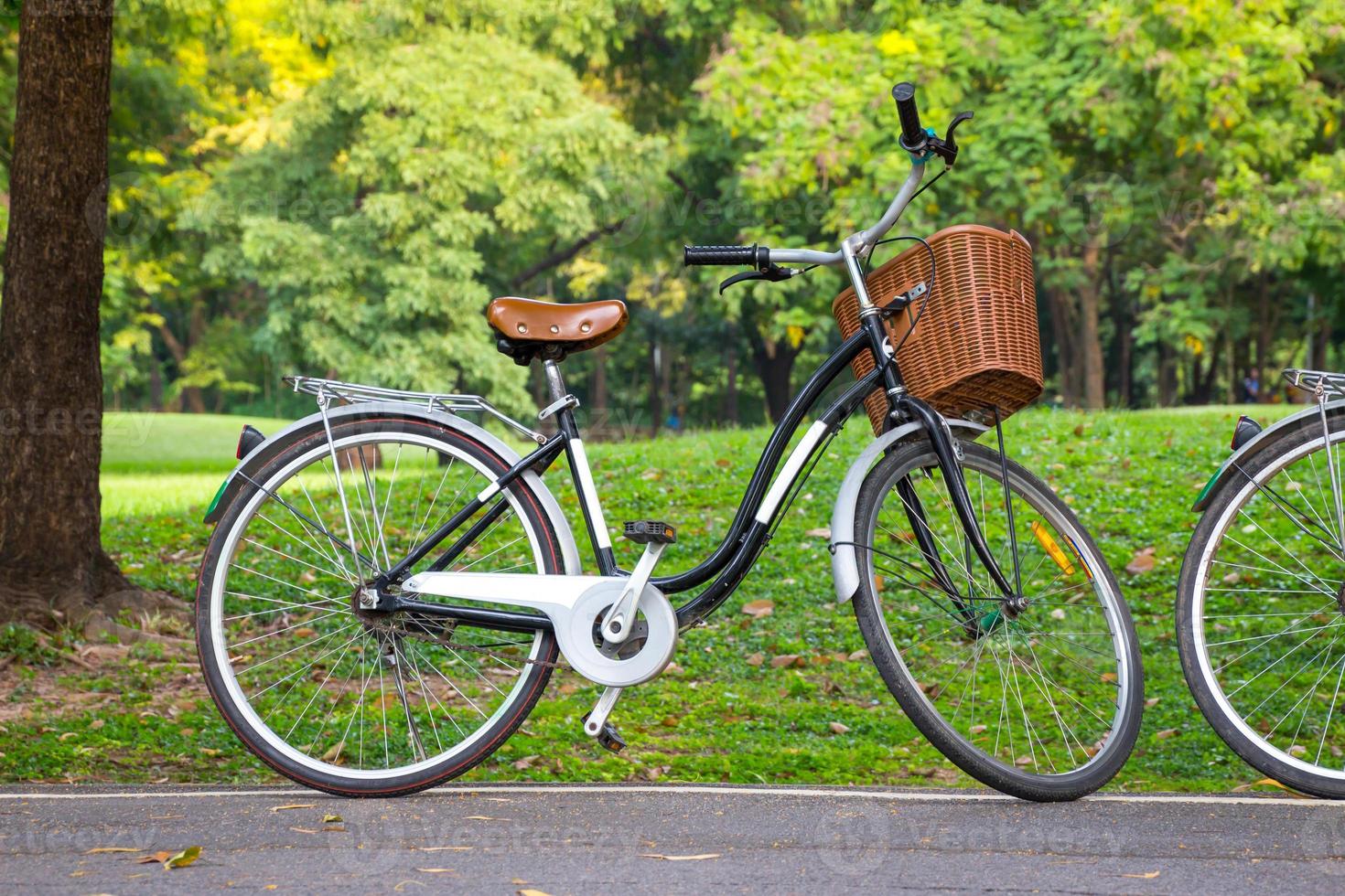 vintage cykel väntar nära träd foto