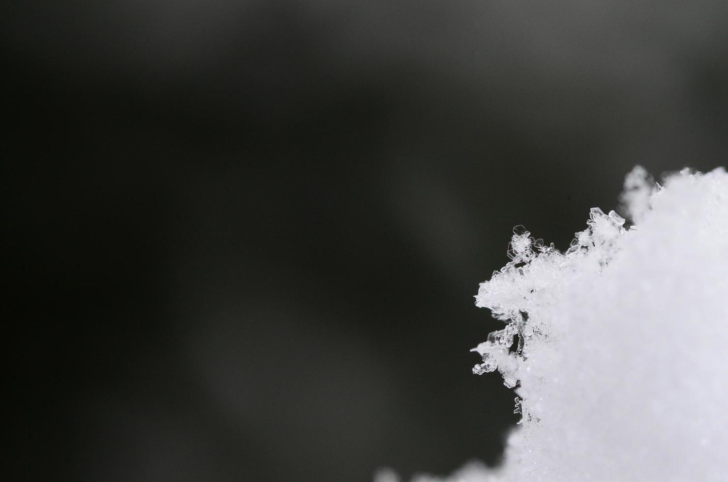 vackra snökristaller med grått och svart foto