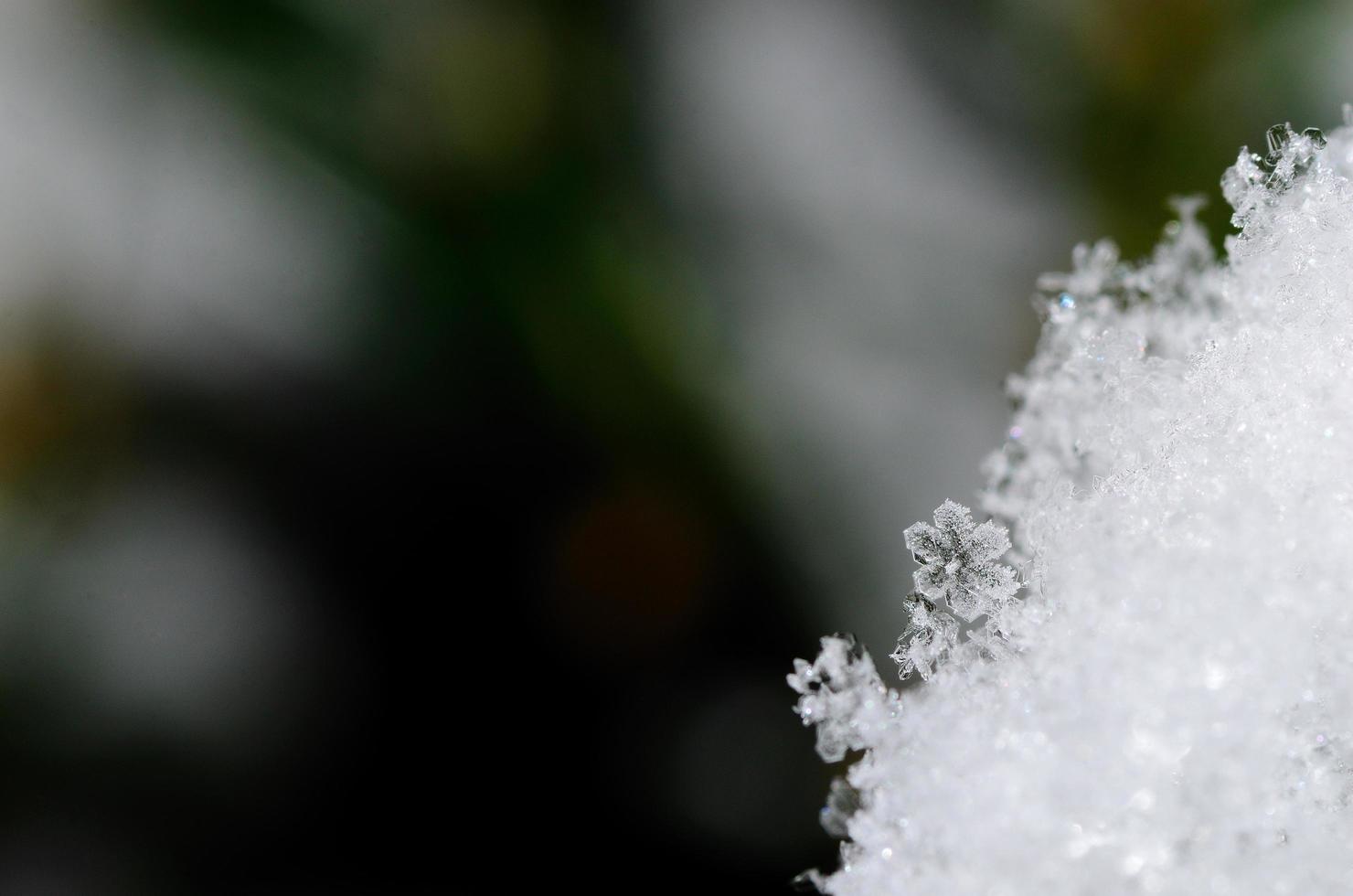 kristallblomma i snön foto