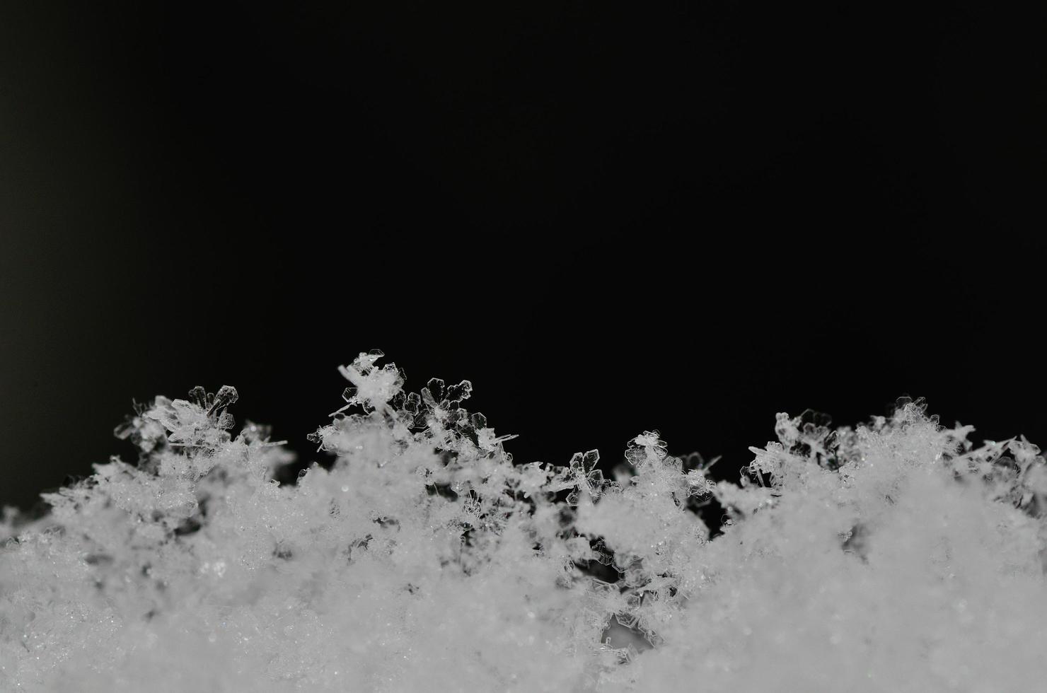 färska kristaller i snön foto