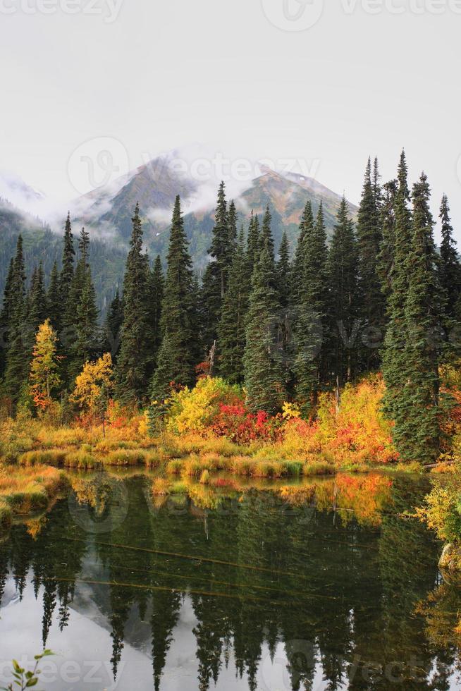 reflektioner över en british columbia sjö foto