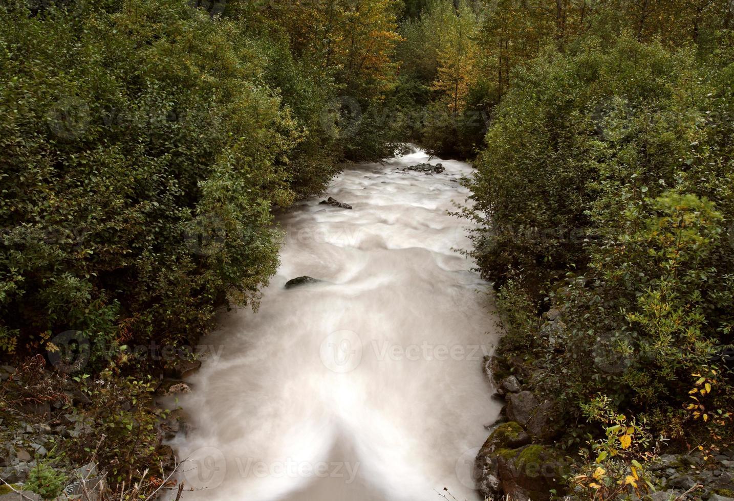 argle creek i brittisk columbia foto