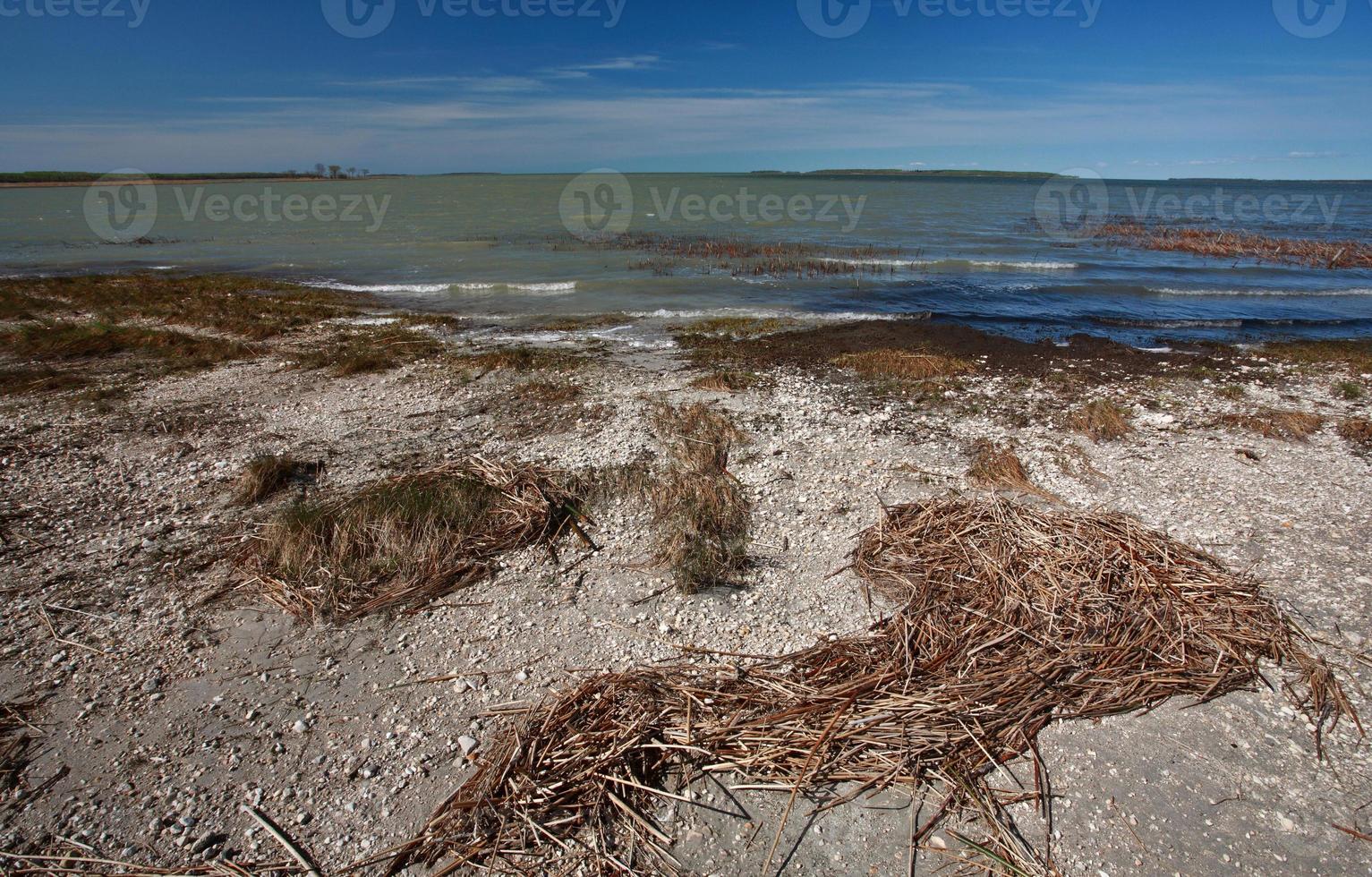lera längs Manitobasjöns strand foto