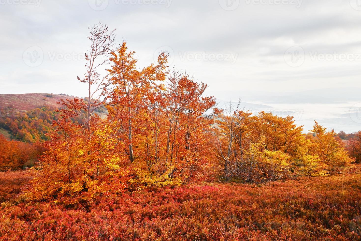 höst i berg, fantastiskt landskap foto