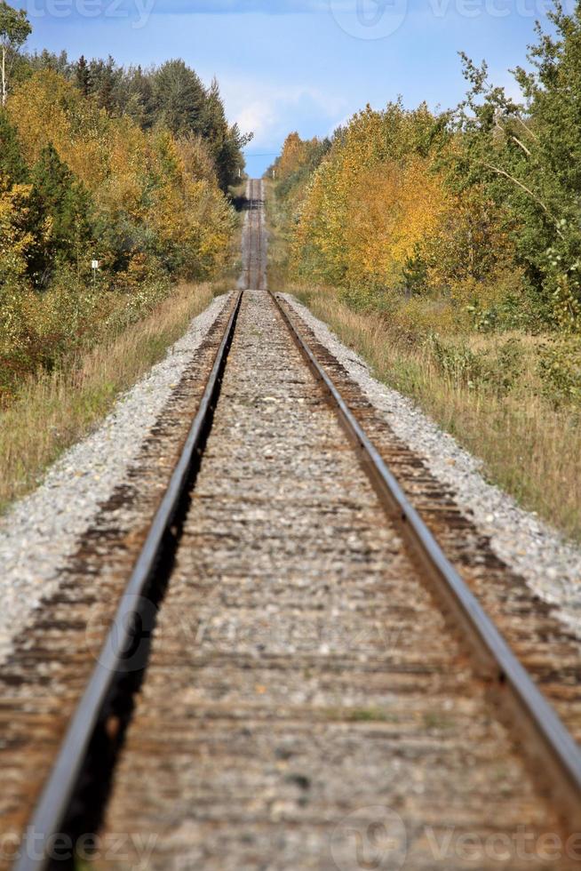 järnvägsspår under en albertahöst foto