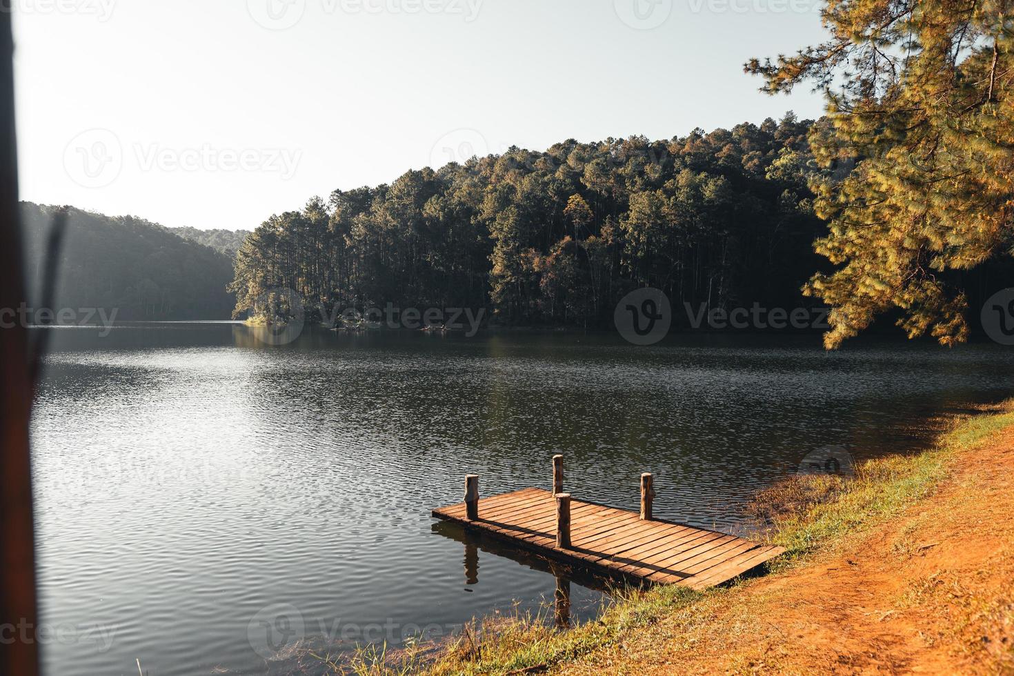 reservoar och träd på morgonen på vilodagen foto