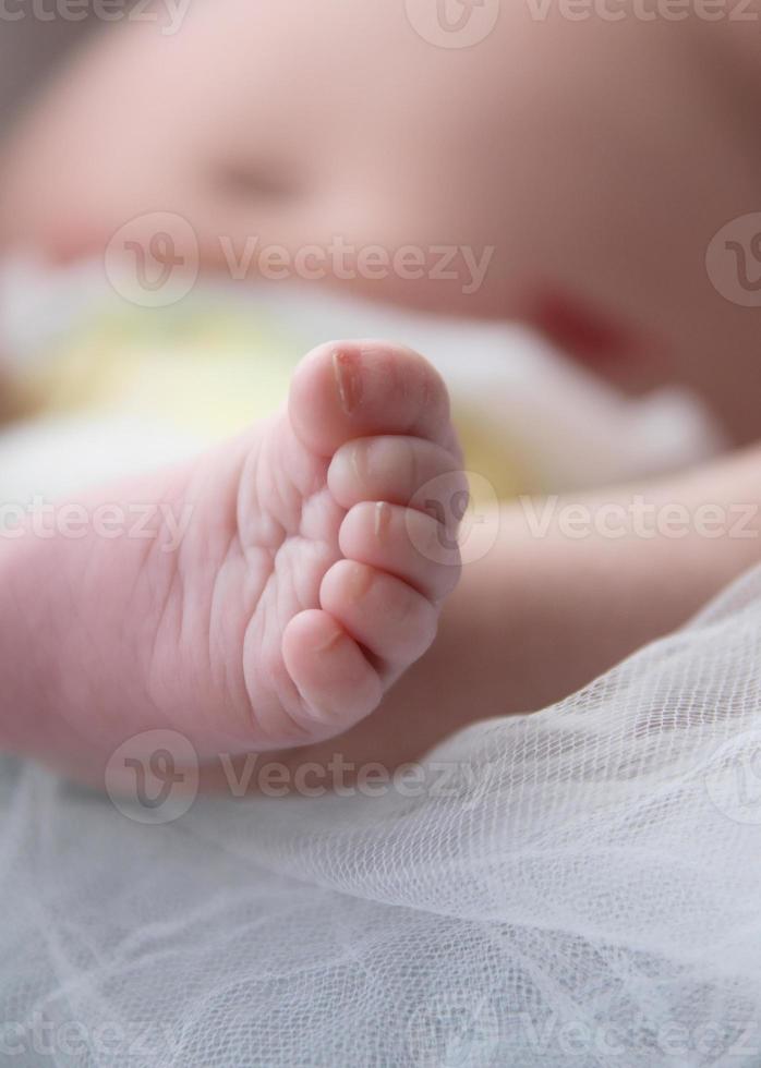 babyfot fotograferad på macmaster studio i älgkäken foto