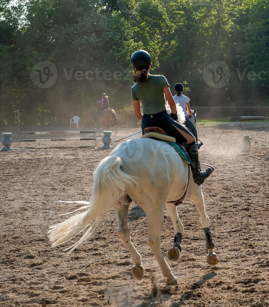 hästgalopp på amazon foto