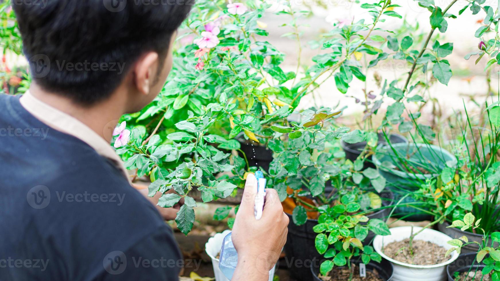 asiatisk man tar hand vattning blomma hemma trädgård foto