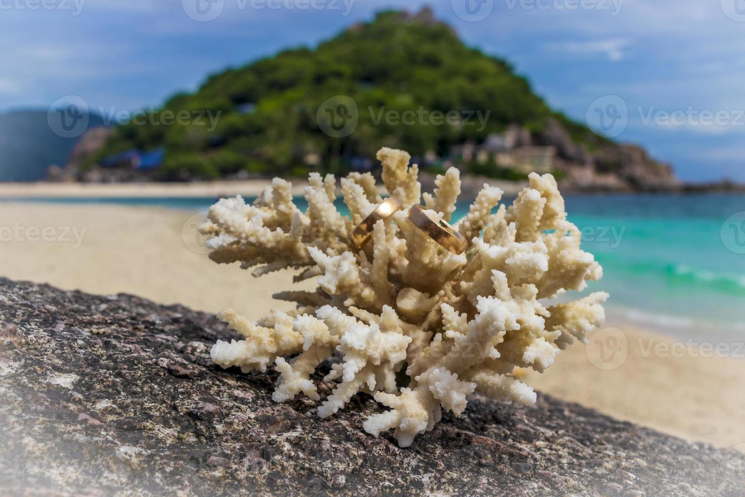 vigselringar på koraller på stranden. smekmånad i thailand. foto