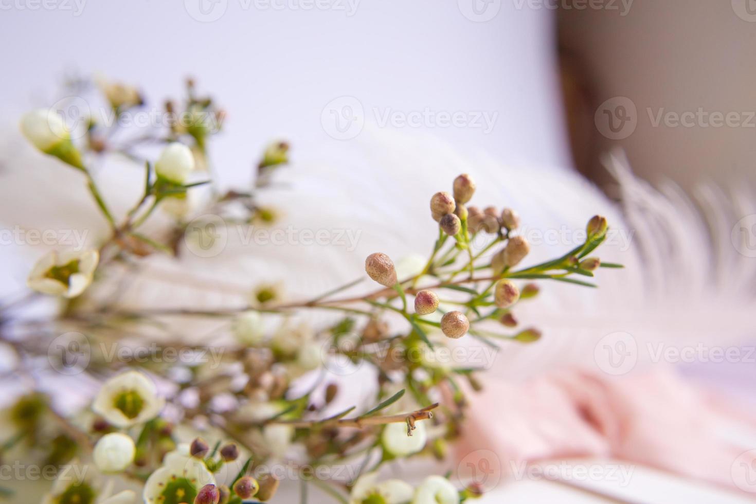 kuvert på vit-rosa bakgrund med persika sidenband och rosa blommor. bröllopsinbjudan. mors dagskort. plats för text. kopieringsutrymme foto