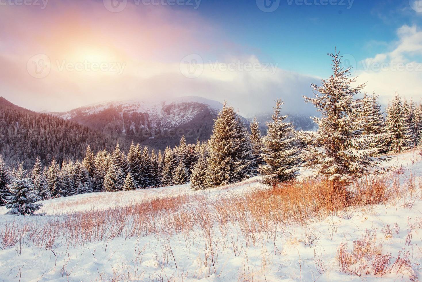 mystiskt vinterlandskap med dimma, majestätiska berg foto