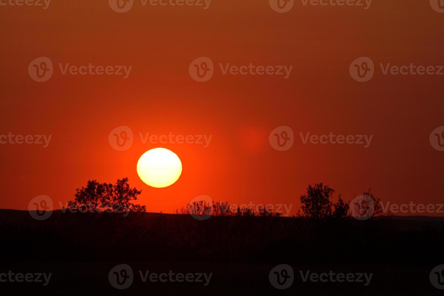 solnedgången bakom en bluff i saskatchewan foto