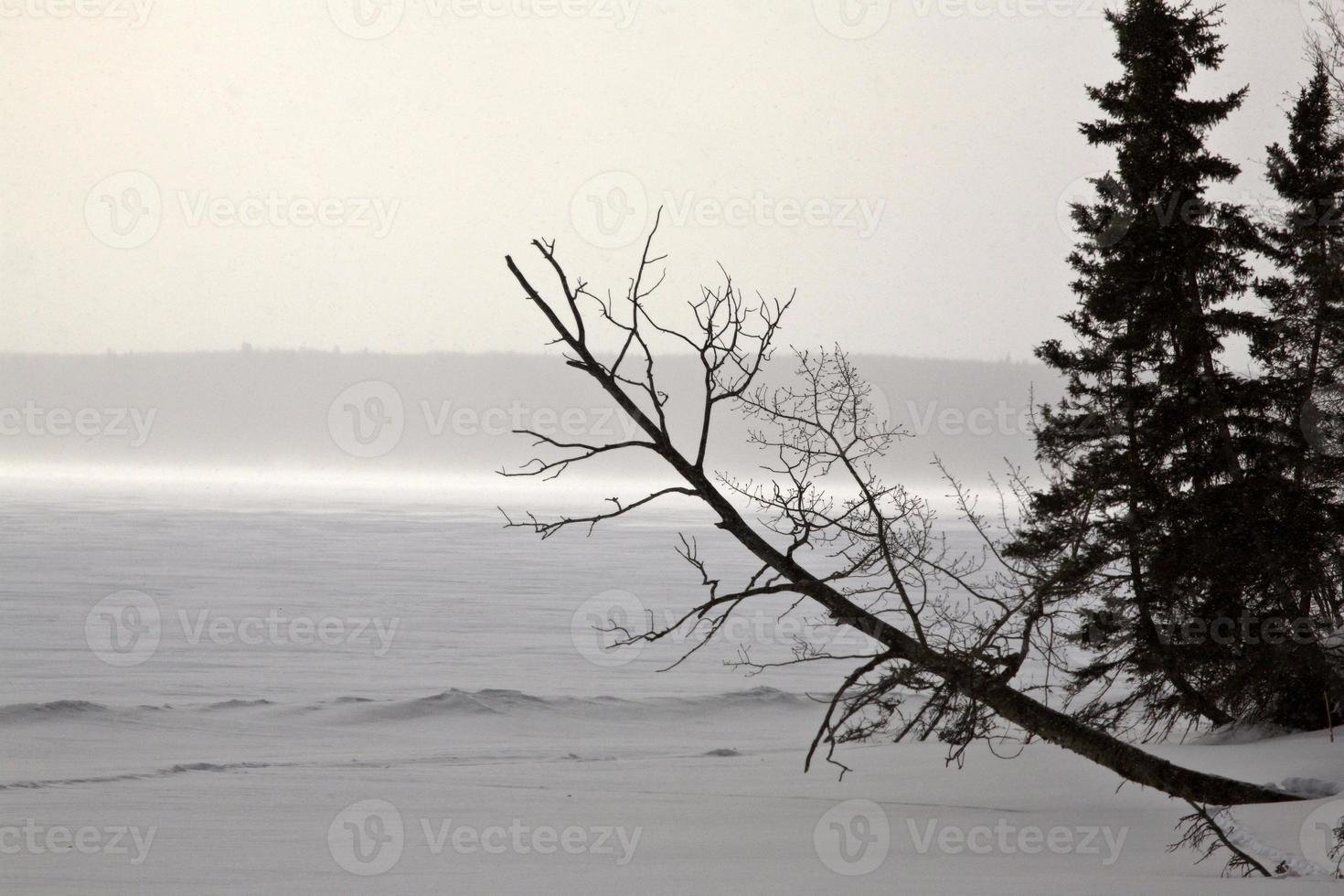 blåser snö över frusen waskesui sjö foto