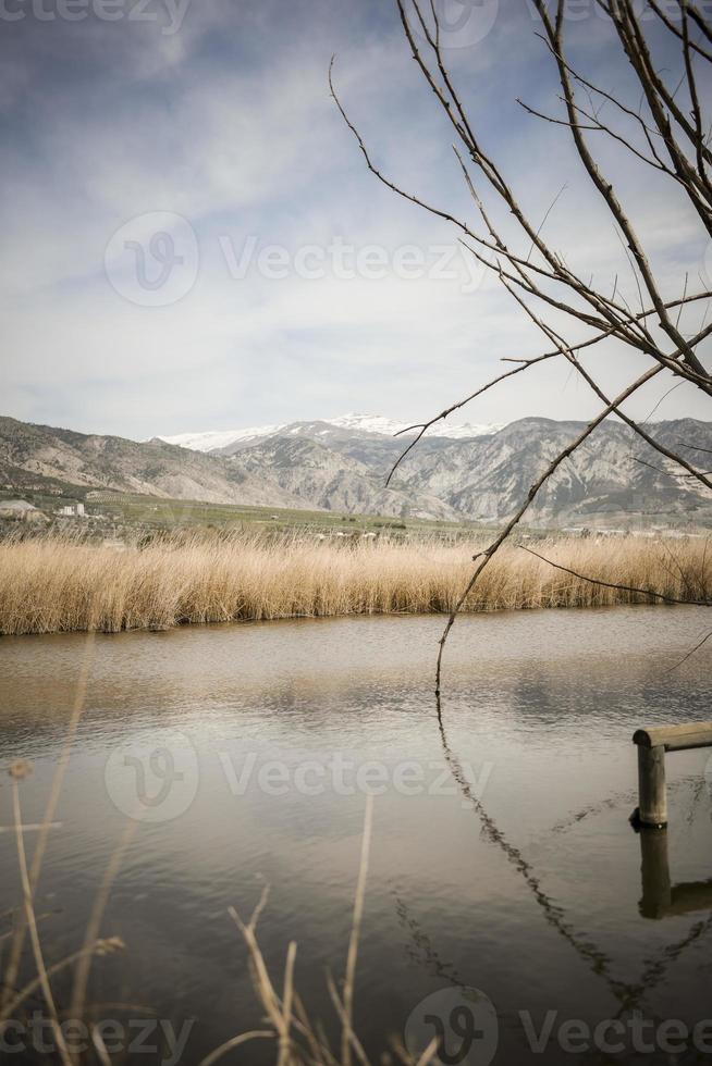 våtmarker med kärrvegetation i Padul, Granada, Andalusien foto