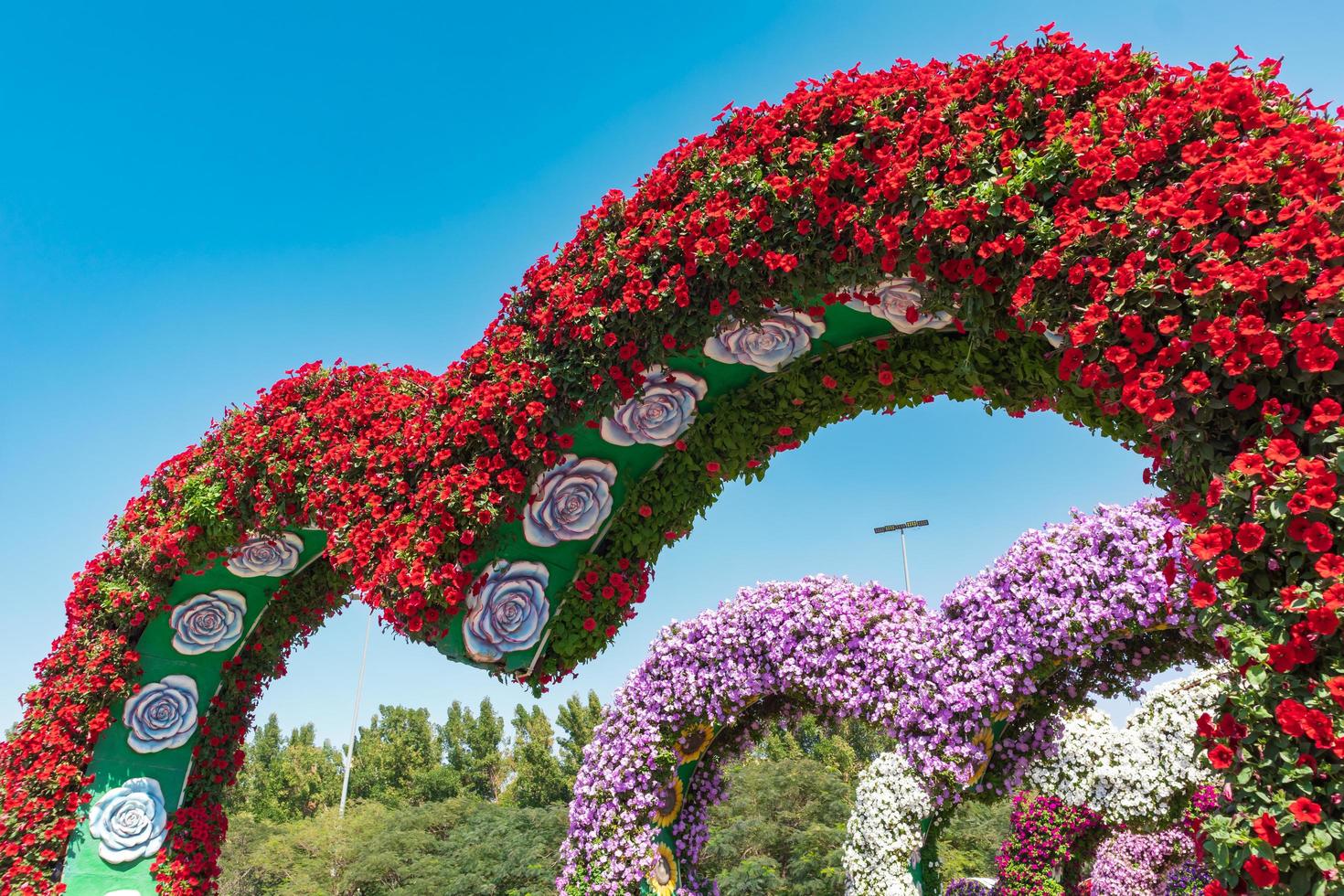 blommor i trädgården foto