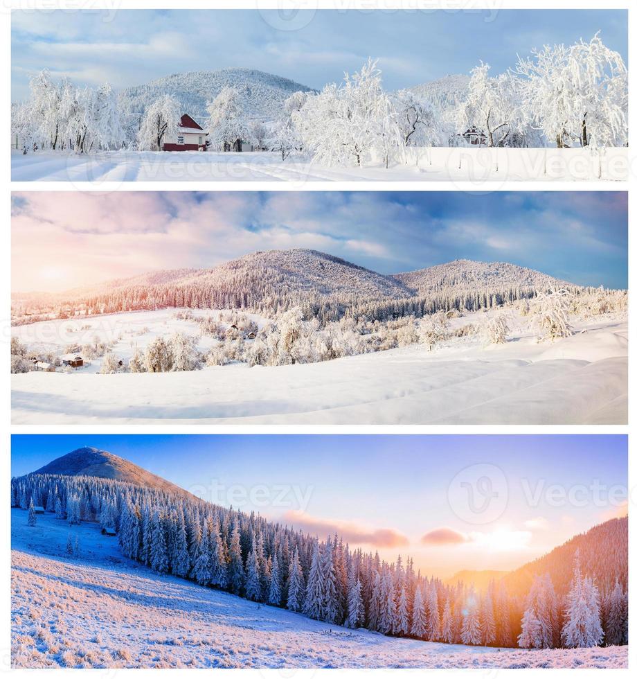 collage av vinterlandskap foto