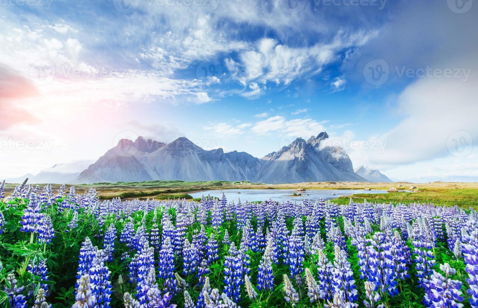 Islands pittoreska landskap, skogar och berg. foto