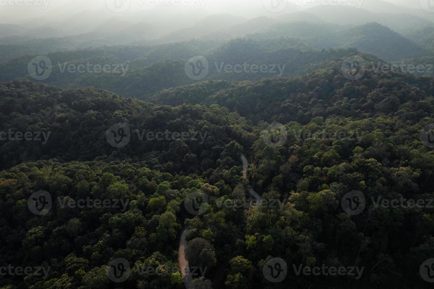 högvinkel tropisk skog och väg in i skogen foto