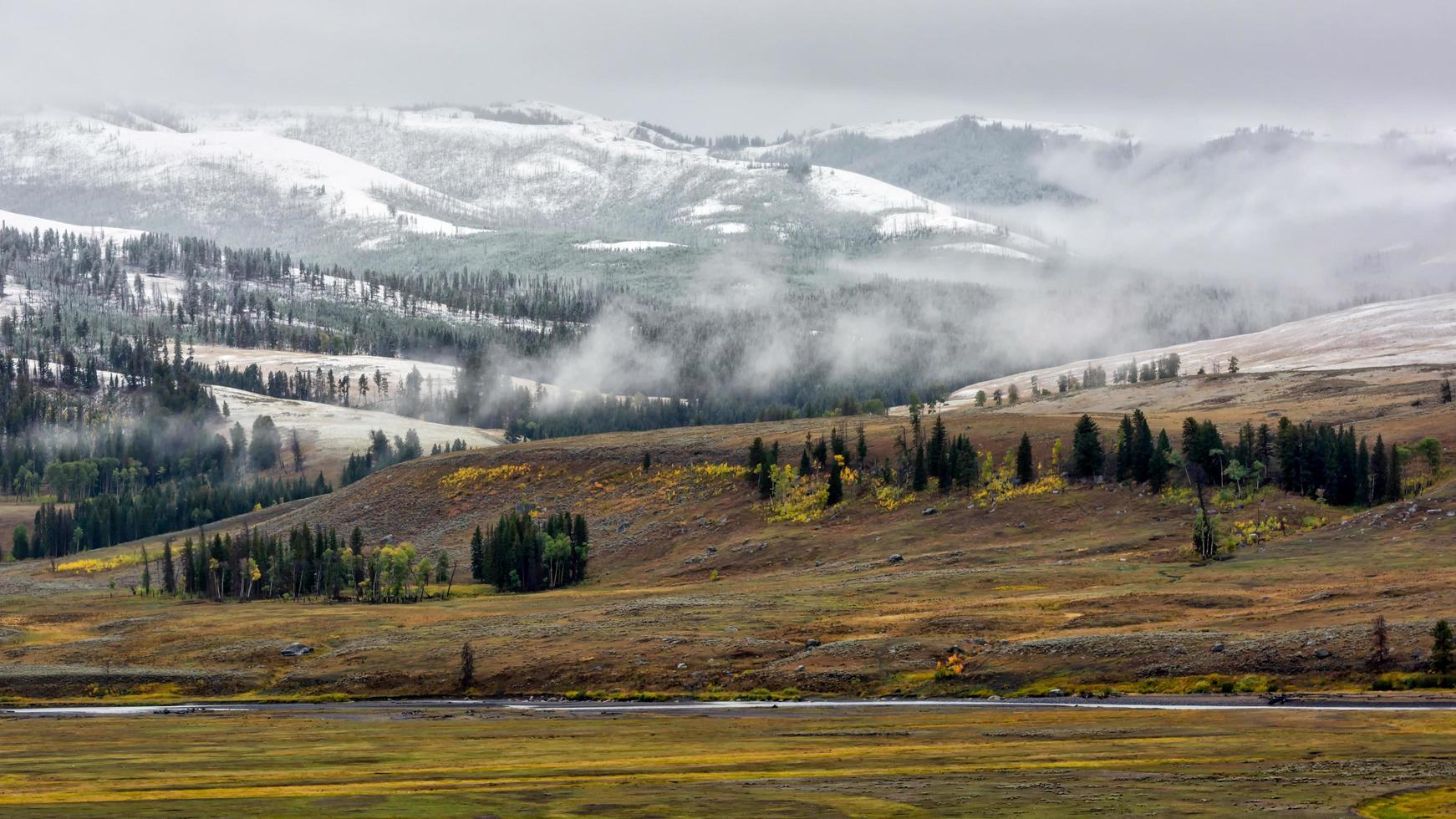 landsbygden i Yellowstone nationalpark foto