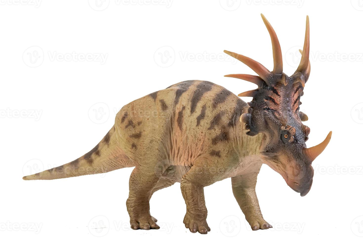 styracosaurus dinosaurie på isolera bakgrund foto