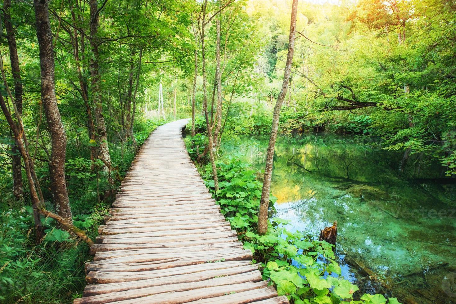 plitvice lakes park i kroatien. Europa. instagram toning effekt foto