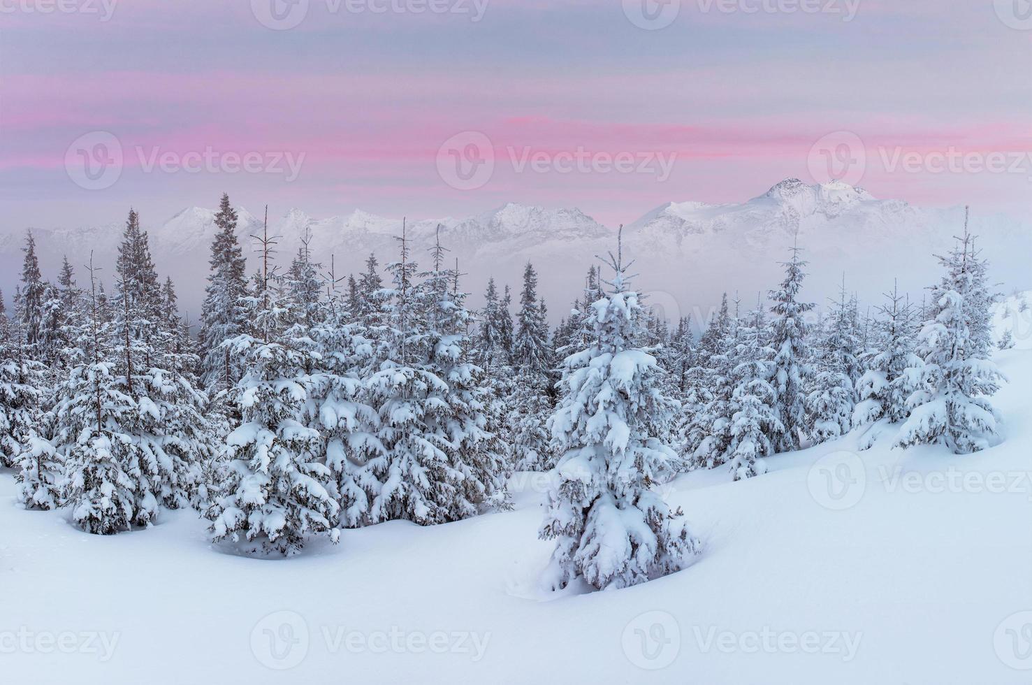 mystiska vinterlandskap majestätiska berg foto