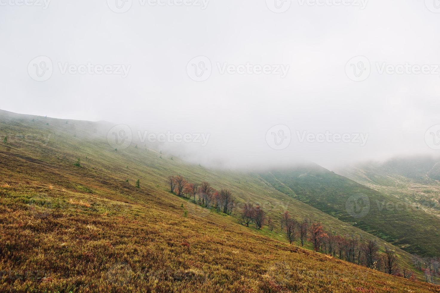 naturskön utsikt över fjällhöstens röda och orangea skogar som täcker av dimma vid Karpaterna i Ukraina, Europa. foto