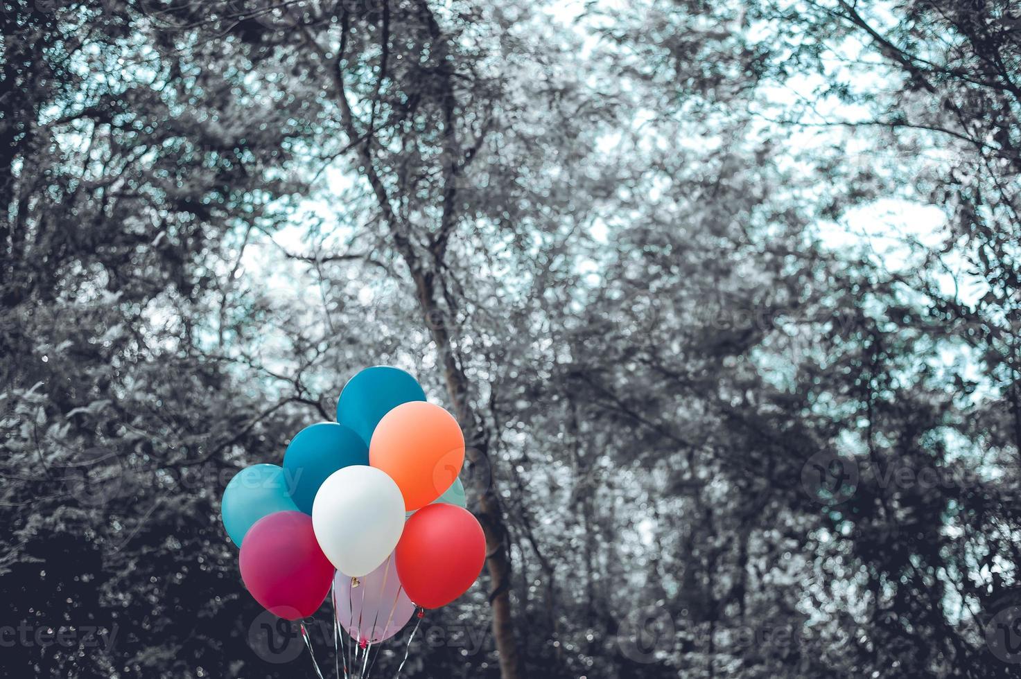 färgglada ballonger är gjorda med filter, retro instagram, koncept med grattis på födelsedagen på sommaren och bröllop. användning av smekmånadsfester för bakgrunder, färgtoner, vintageballonger i det vilda. foto