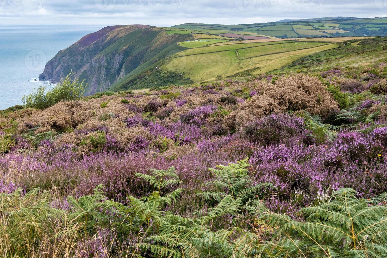 utsikt över devons kustlinje nära combe martin foto