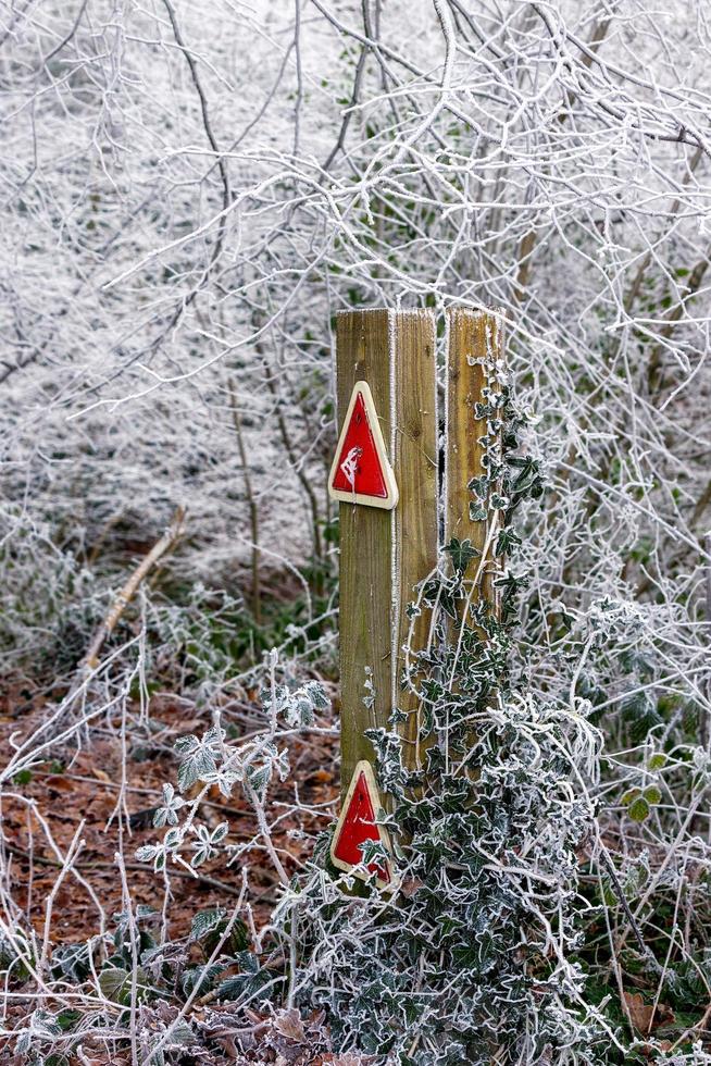 trästolpe med trafikreflexer täckta av murgröna och rimfrost foto