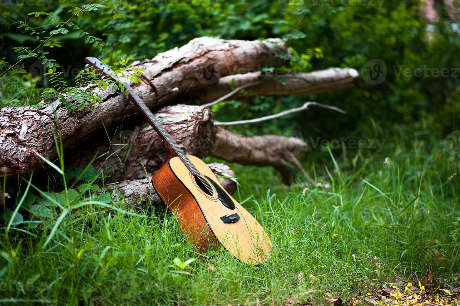 gitarr i skogen ta en gitarr till skogen. foto
