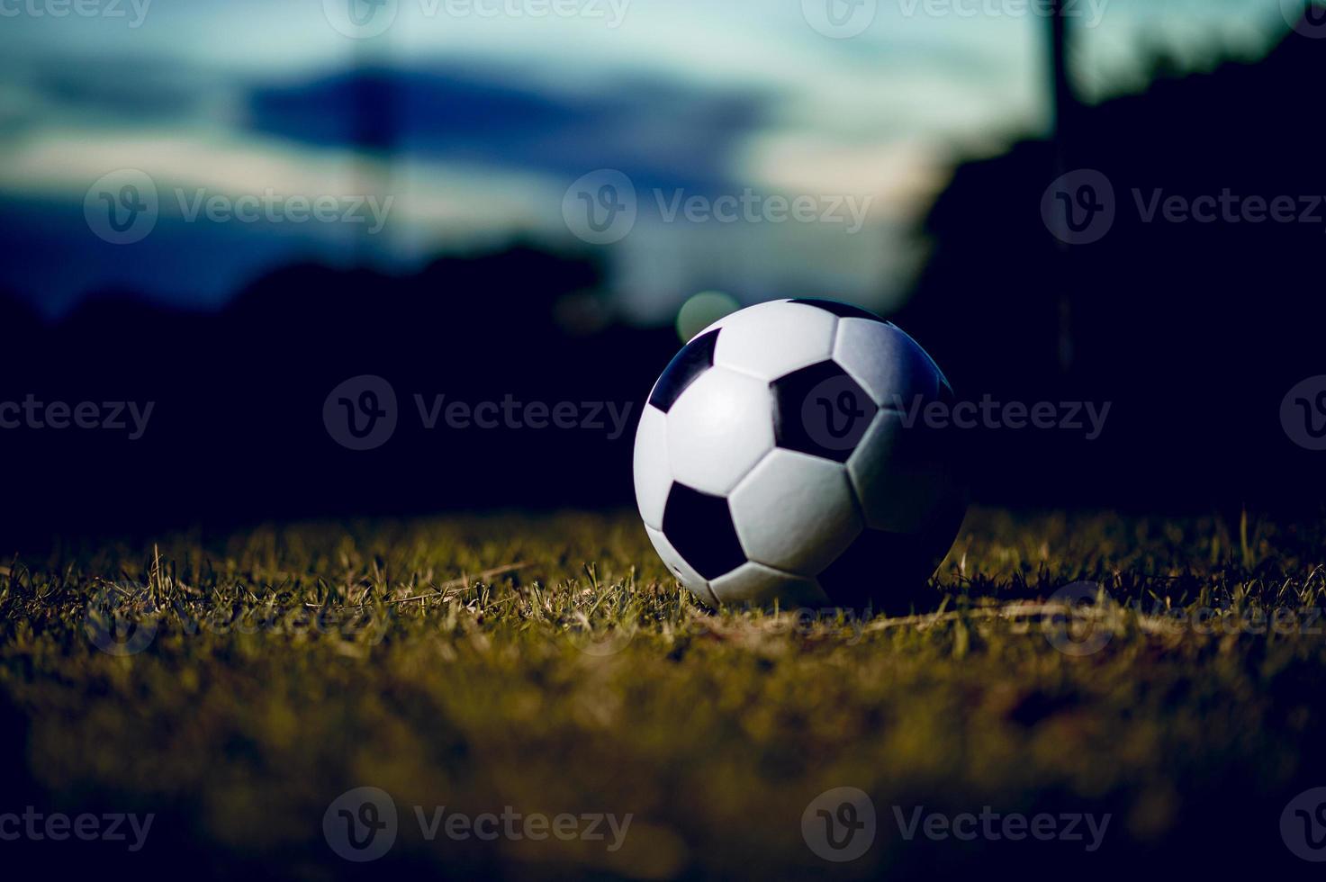 fotboll är placerad i den gröna gräsmattan. sportkoncept rusa träning och kopiera utrymme. foto