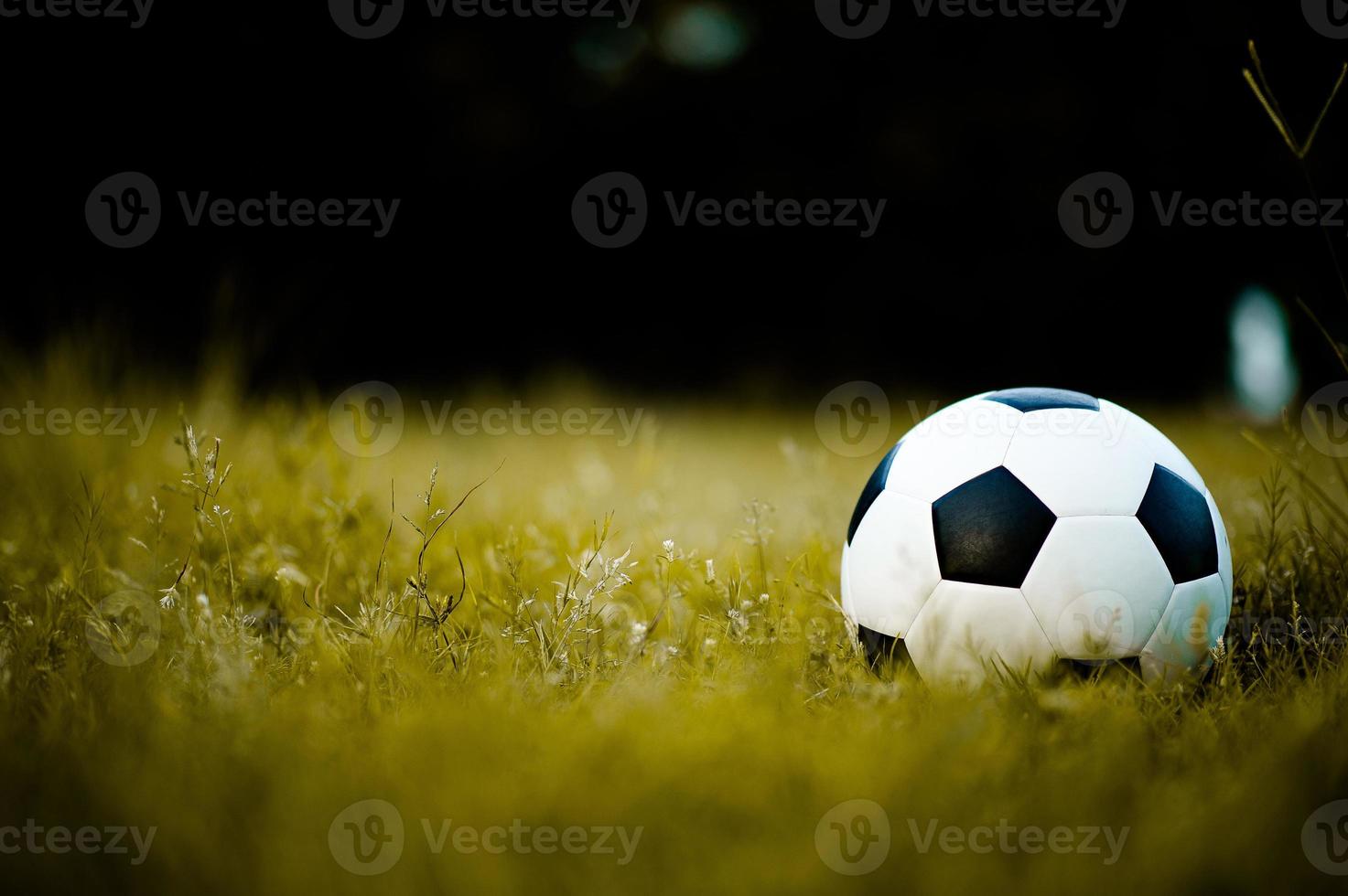 bollen på gräsmattan i ett gult fält på fotbollsplanen redo för straff. och börja aktivt fotboll foto