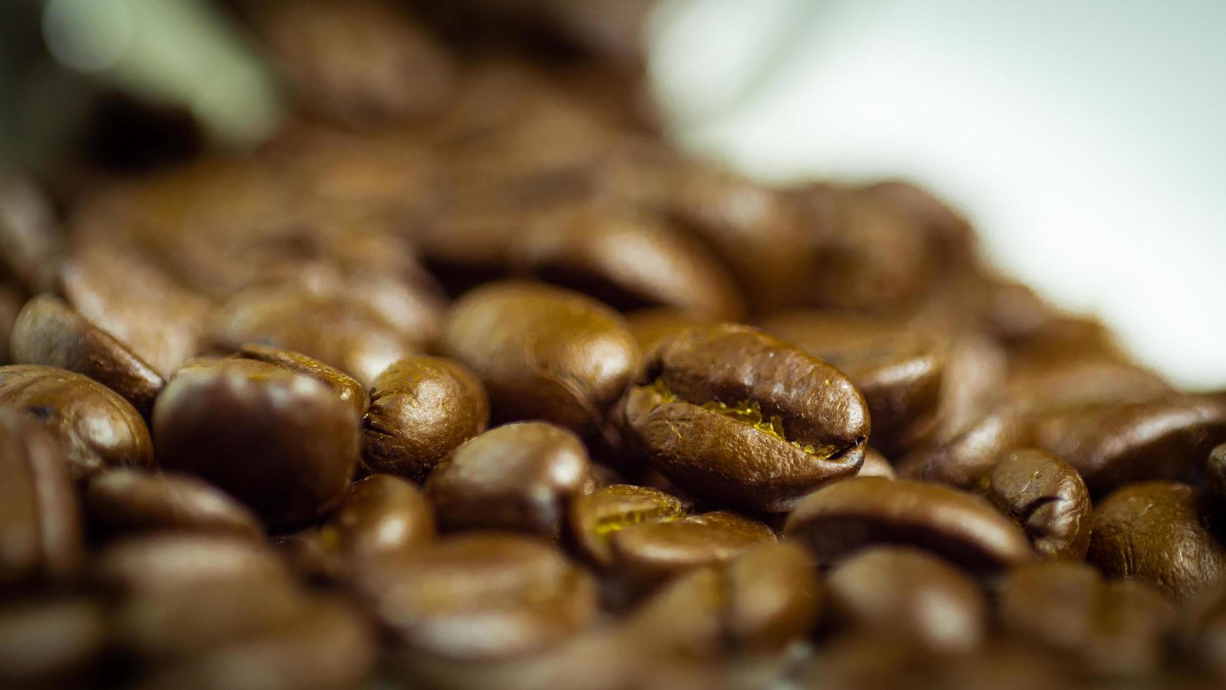 rostade kaffebönor gör dig redo för malningen som hälls ur en glasflaska på en vit bakgrund för att göra färskt kaffe eller gå in i en espressomaskin eller moka-kanna foto