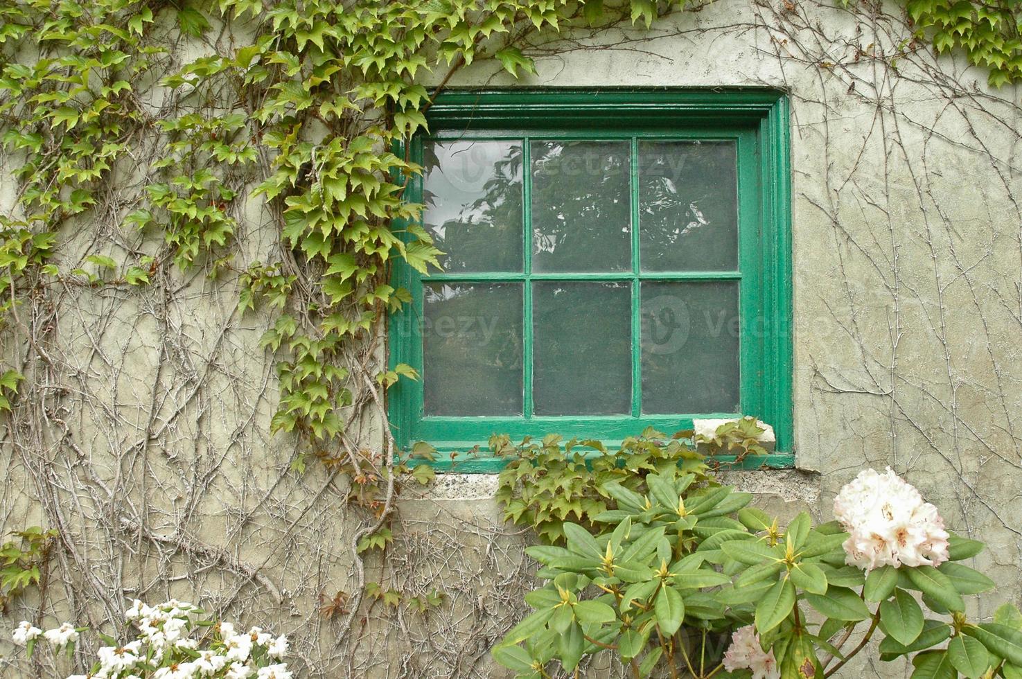 italienska Toscana vintage vingård fönster foto