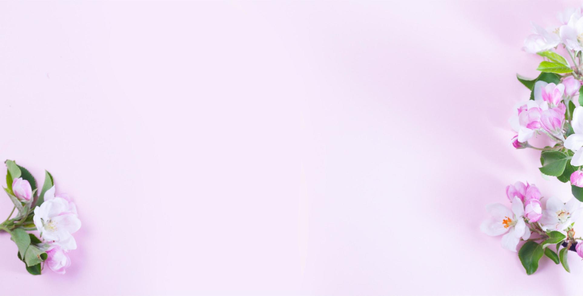 färska rosblommor gränsen på rosa bakgrund. ovanifrån foto
