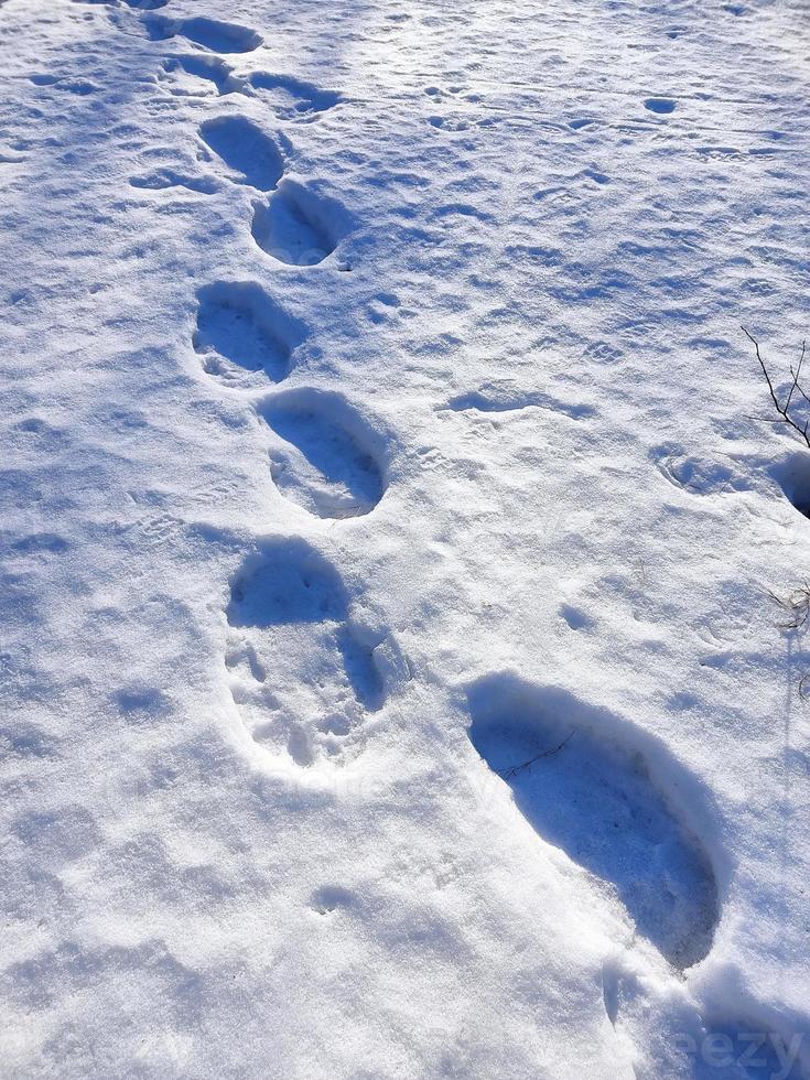 vårlandskap med blå snö och mänskliga fotspår. foto