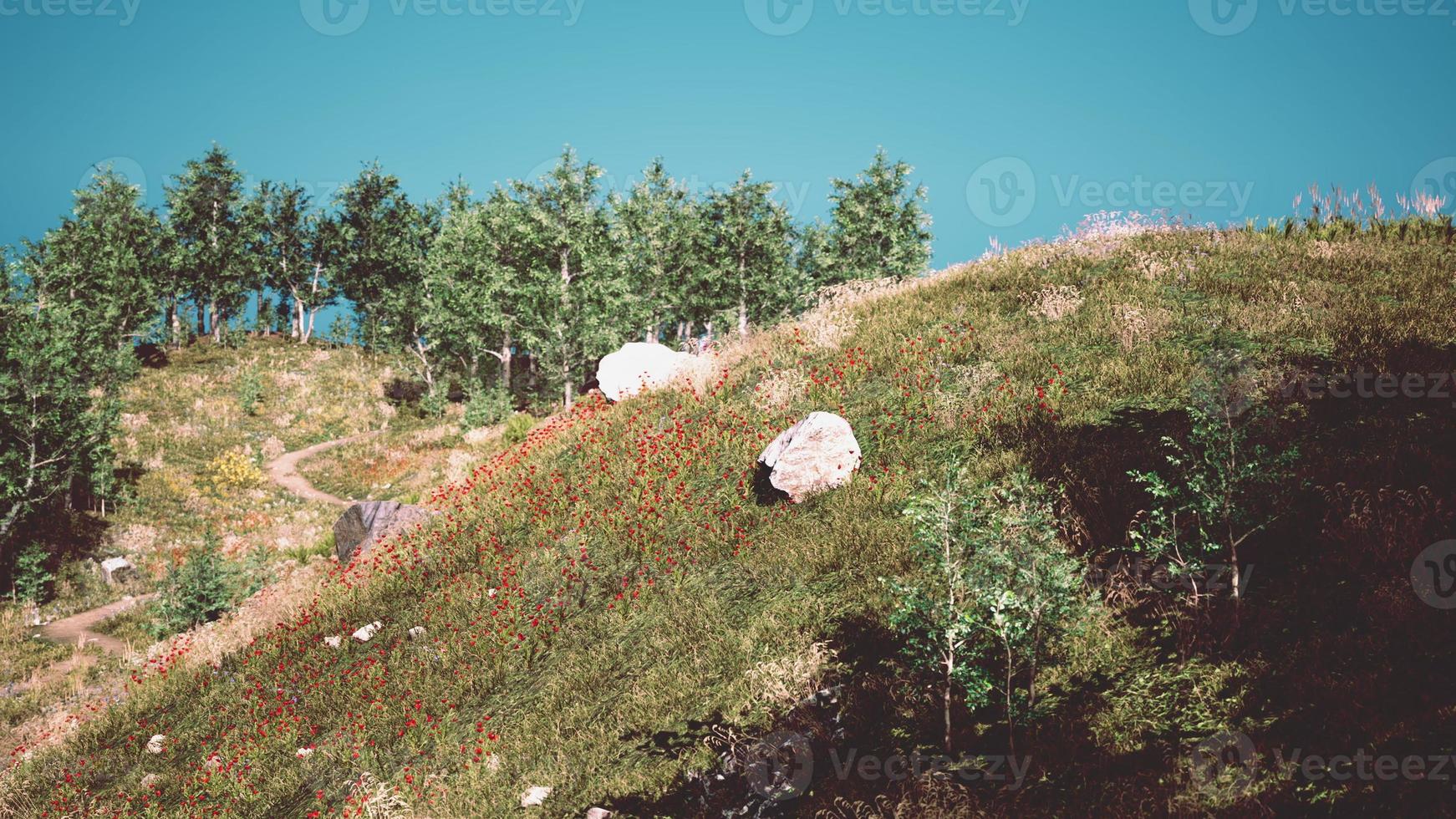 idylliskt landskap i alperna med fräscha gröna ängar och blommande blommor foto