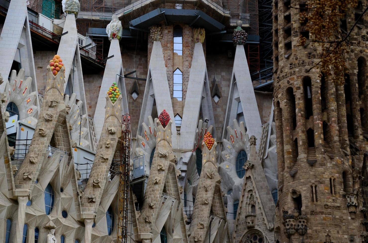 katedralen i barcelona detalj foto