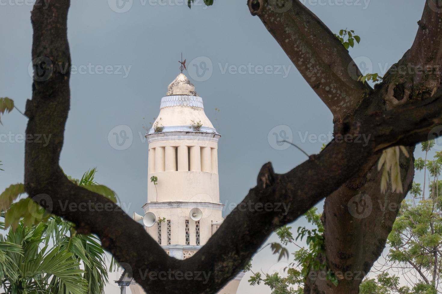 masjid acheh med trädets förgrund foto