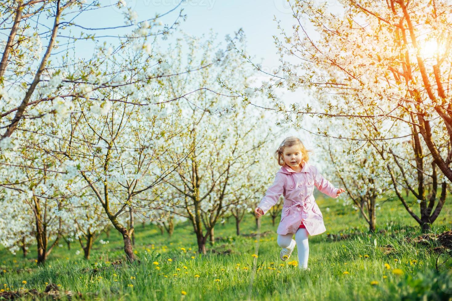 liten flicka som springer mellan blommande träd vid solnedgången. ar foto