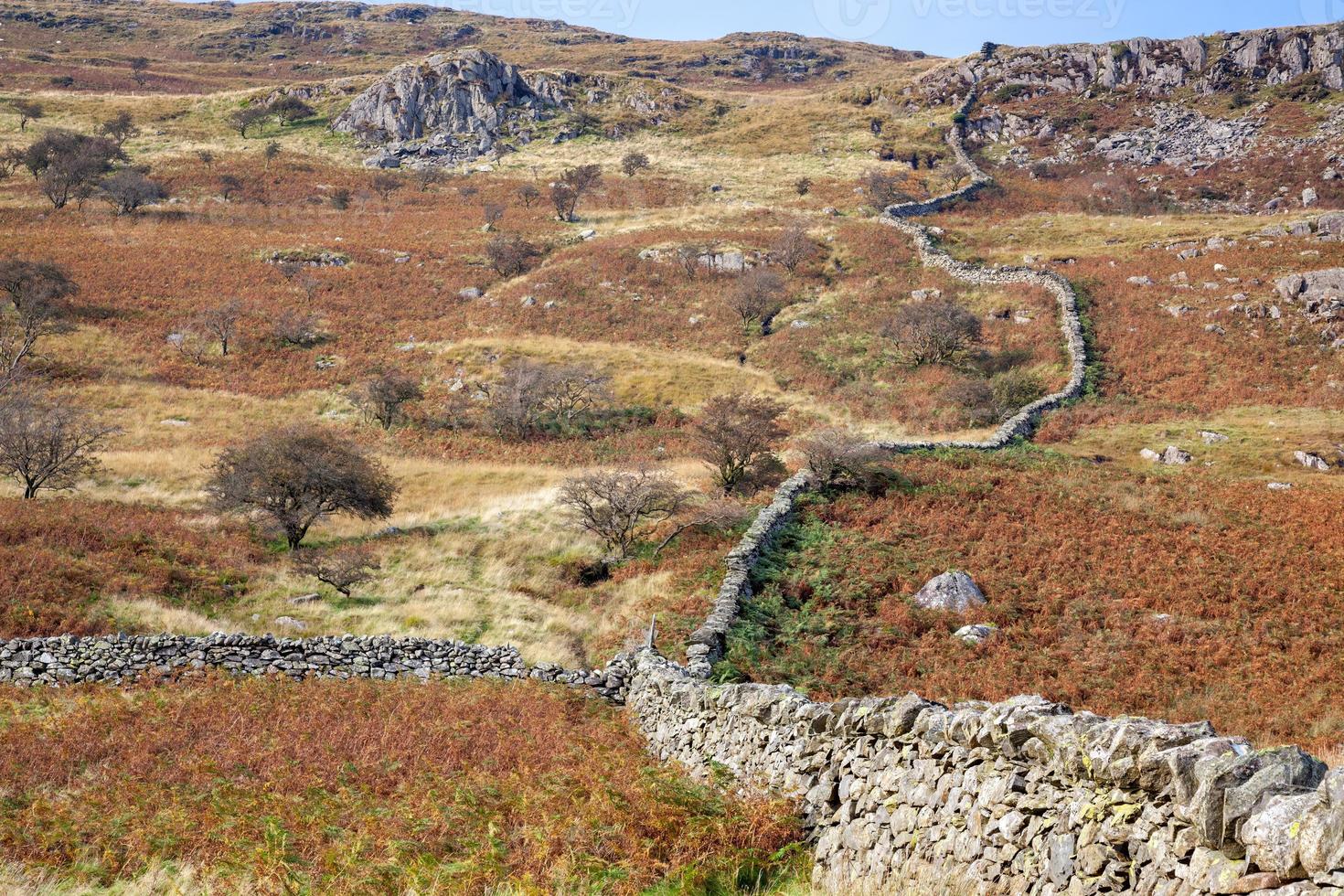 handbyggda stenmurar i snowdonia nationalpark foto