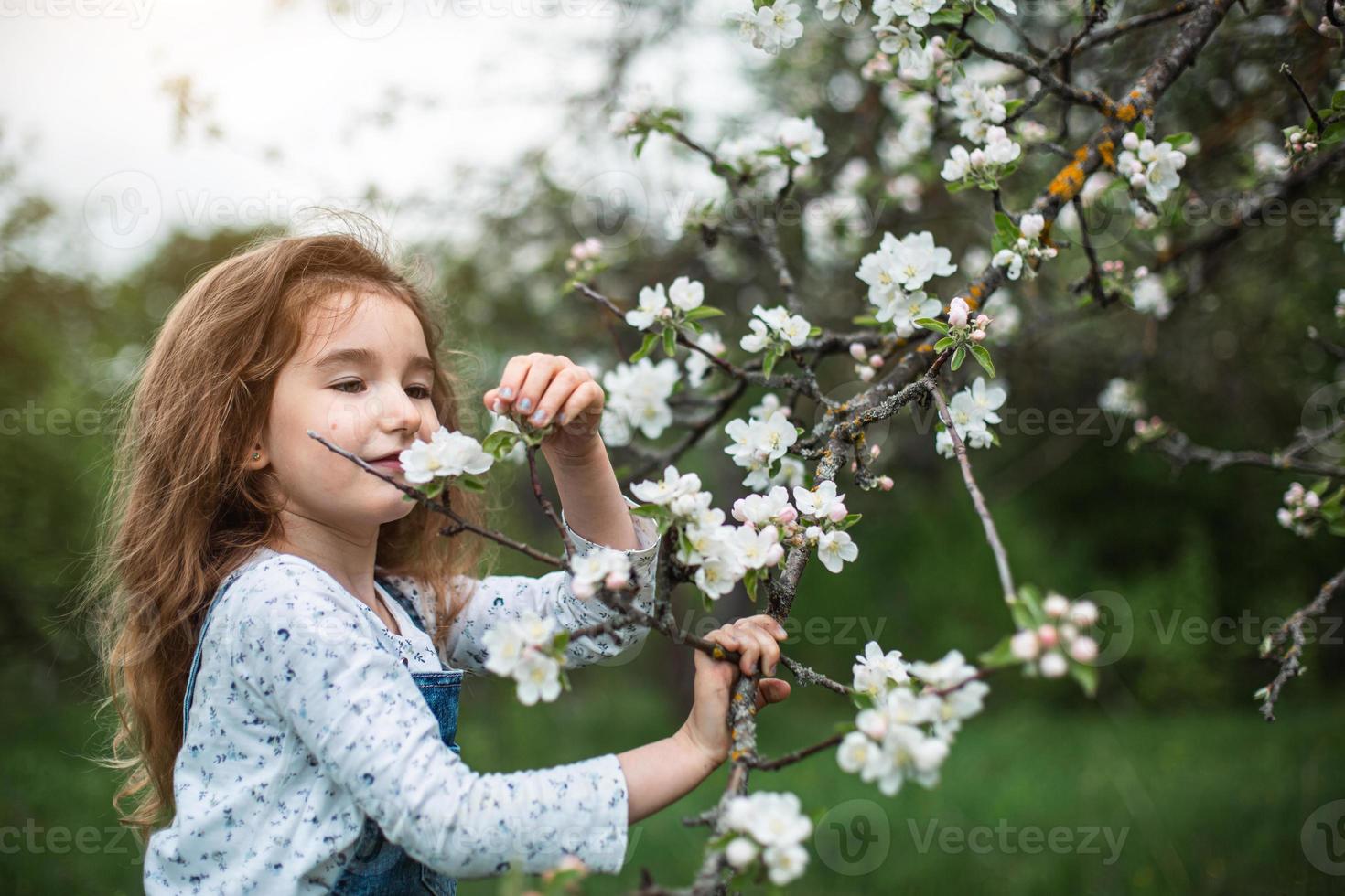 en söt liten flicka på 5 år i en blommande vit äppelodling på våren. vår, fruktträdgård, blomning, allergi, vårdoft, ömhet, omsorg om naturen. porträtt foto