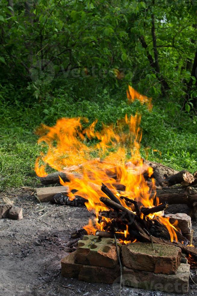 brasa i skogen. foto