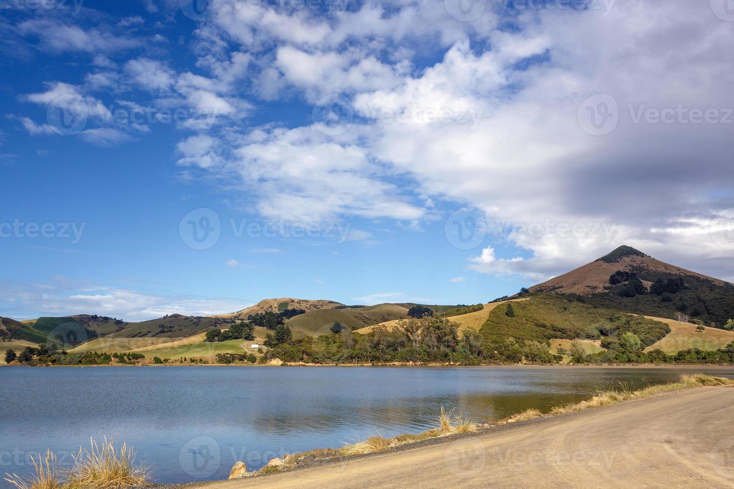 otagohalvön nära dunedin i Nya Zeeland foto