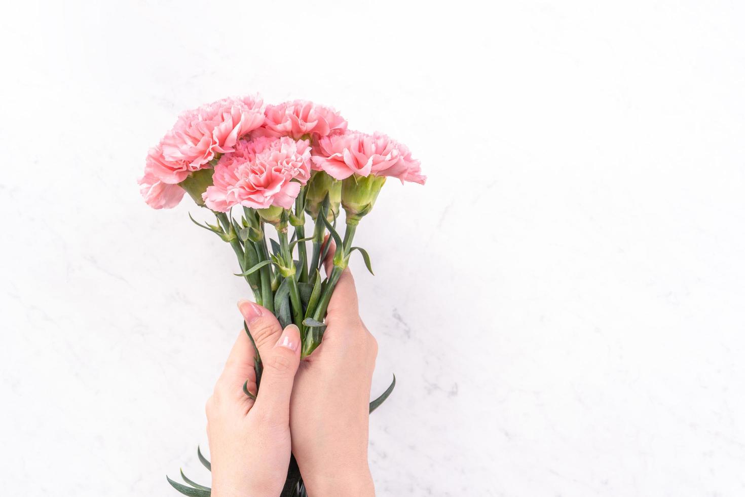 kvinna som ger en massa elegans blommande baby rosa färg ömma nejlikor isolerade på ljus marmorbakgrund, mors dag dekor designkoncept, ovanifrån, närbild, kopieringsutrymme foto