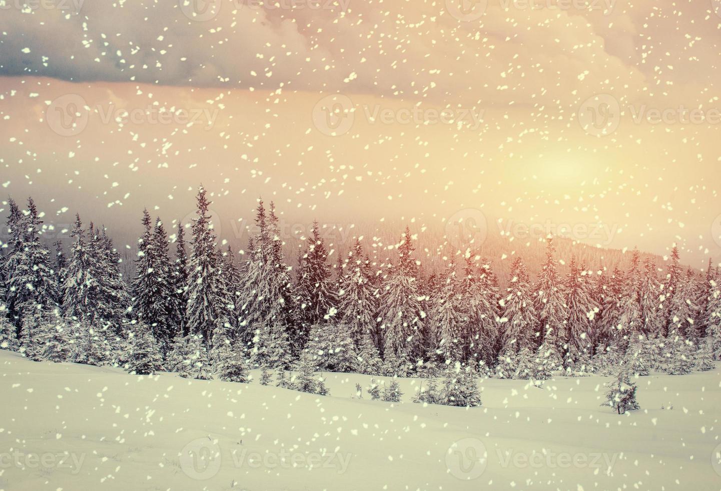 magiskt vinterlandskap, bakgrund med några mjuka höjdpunkter a foto