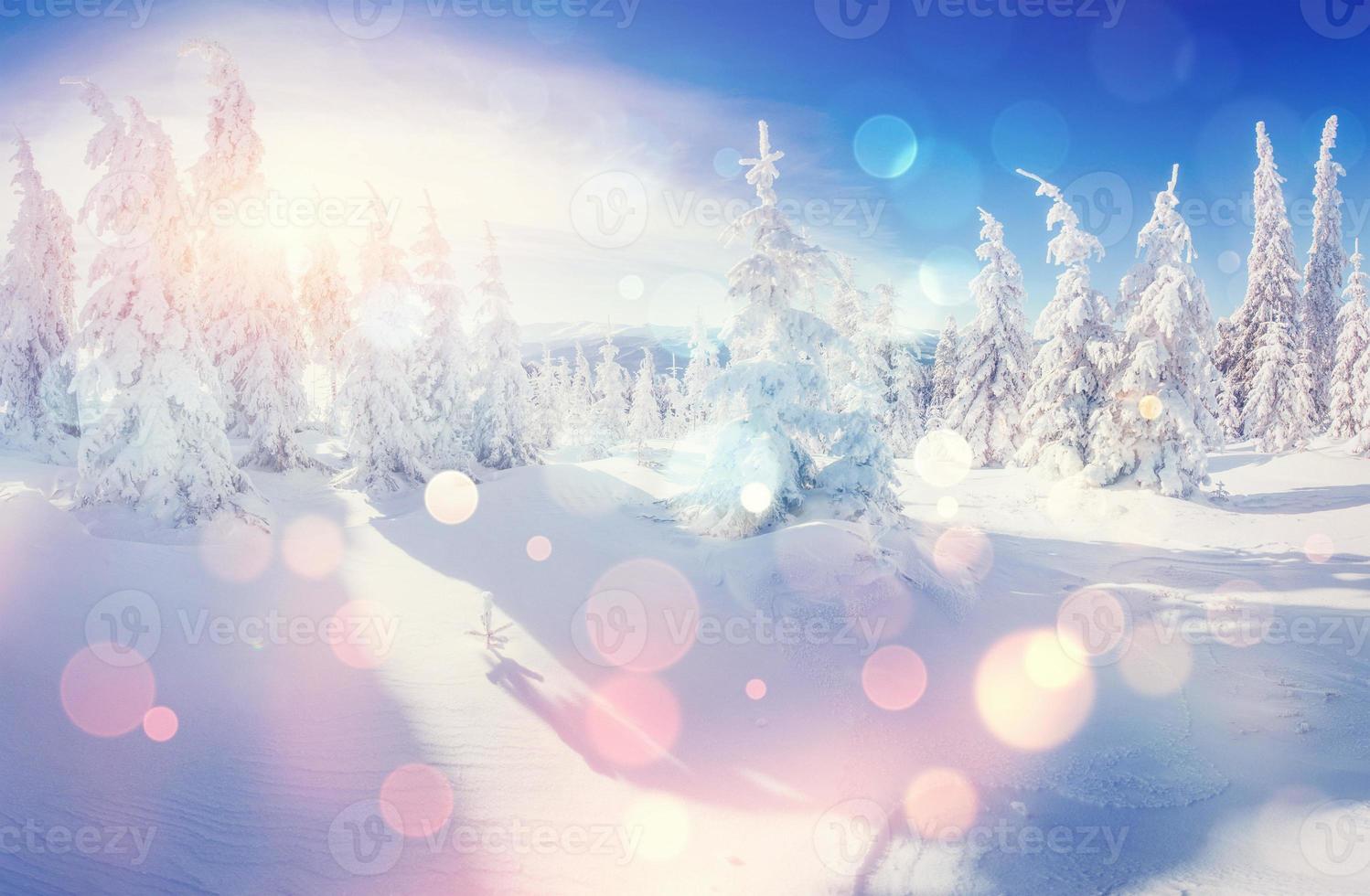 vinterlandskap träd insnöade, bokeh bakgrund med snöflinga foto